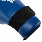 Fistrage Перчатки (накладки) для тхэквондо VL-5823 S Синий