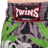 Twins Шорты для тайского бокса и кикбоксинга TBS-Grass S