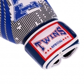 TWN Перчатки боксерские Кожа VL-2066 12 Oz Синий